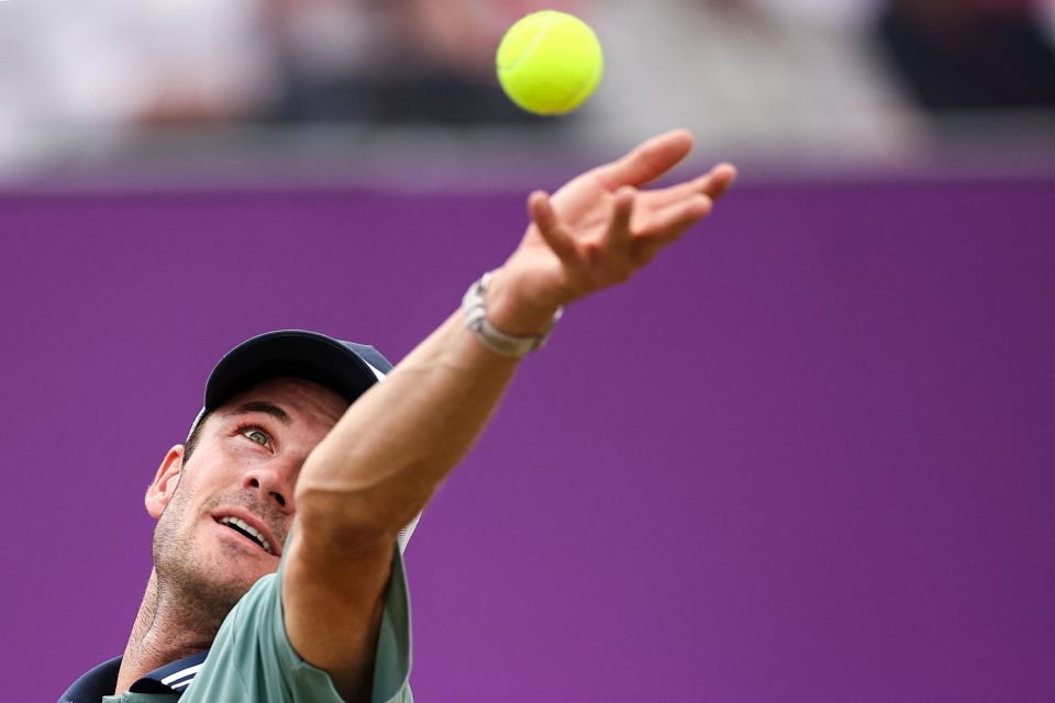 这是战术智 这是战术智