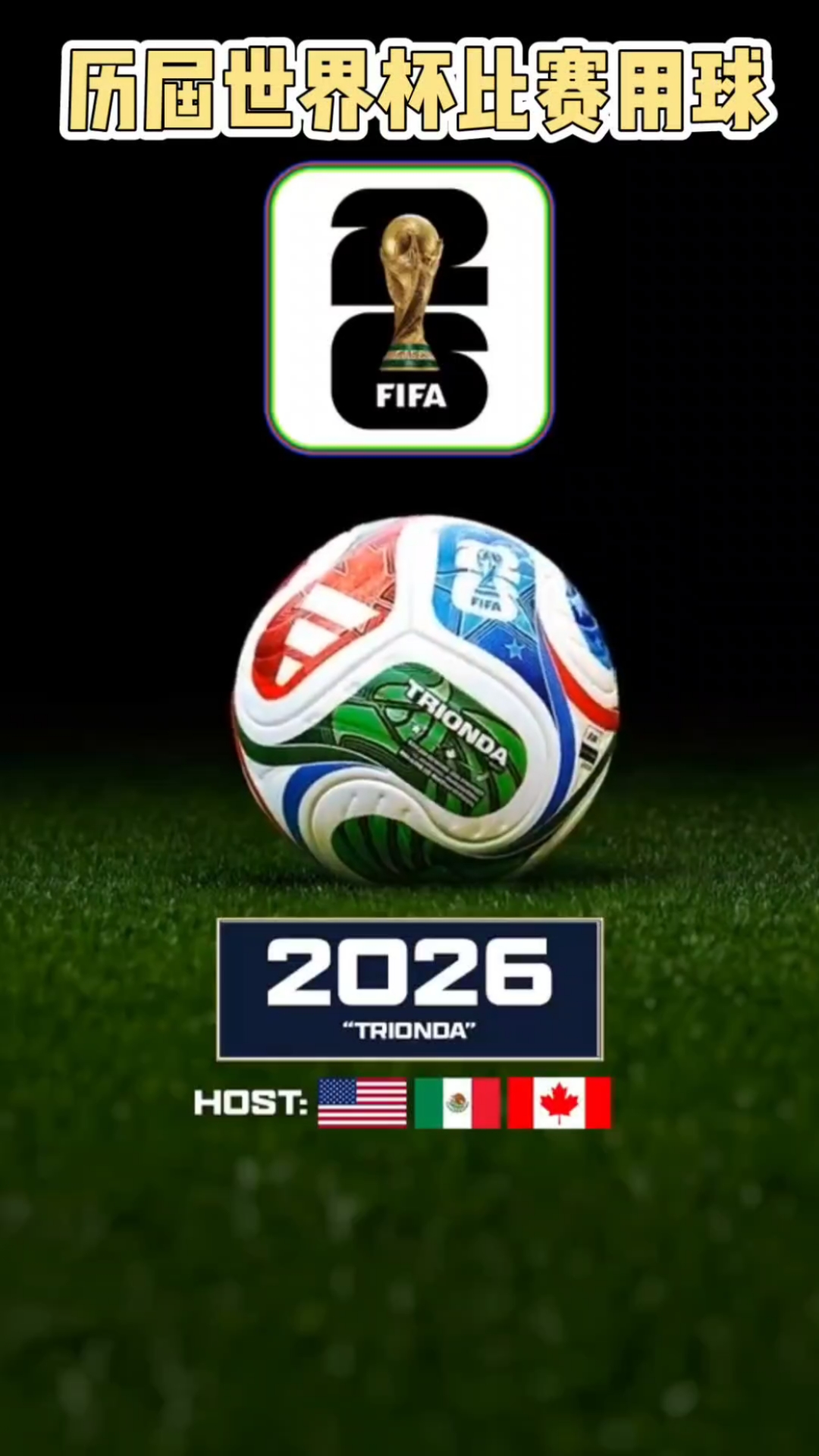 并列第2 并列第2